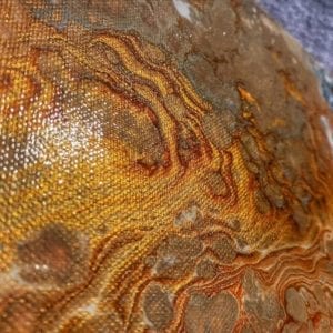 Gold Orange Bloom Acrylic Fluid Painting by Adrian Reynolds